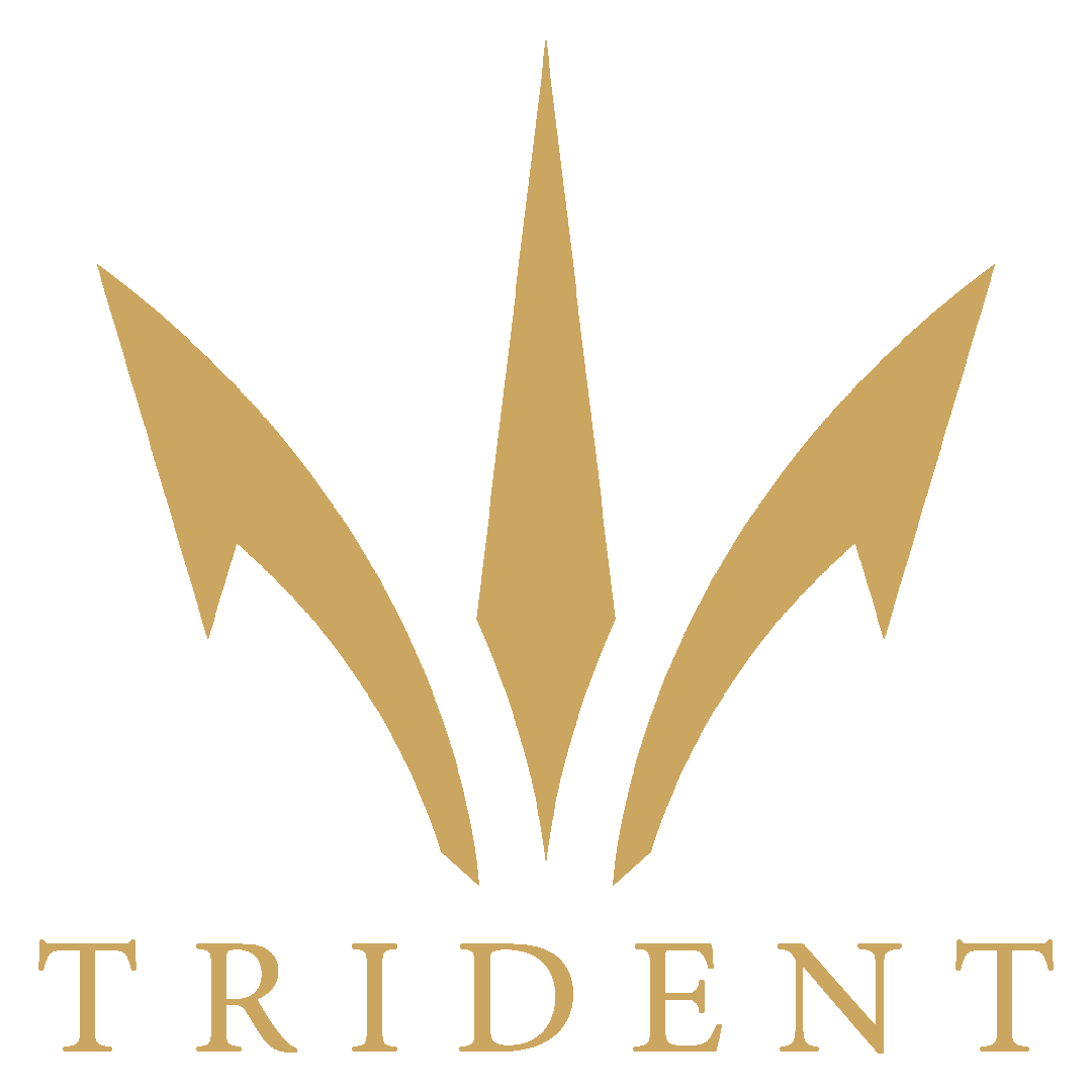 Trident Airlines Logo.png