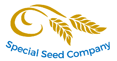 File:Special Seed.png