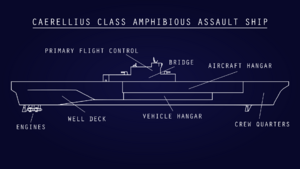 Caerellius cross section.png