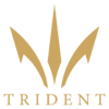 Trident Airlines Logo.png
