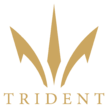 Trident Airlines Logo.png