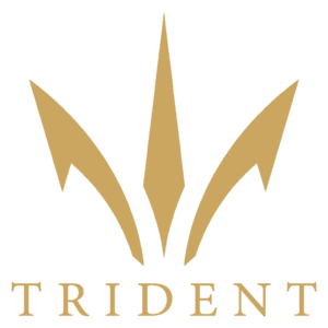 Trident Airlines Logo.png