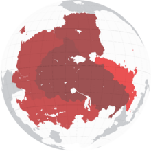 Doren Globe.png