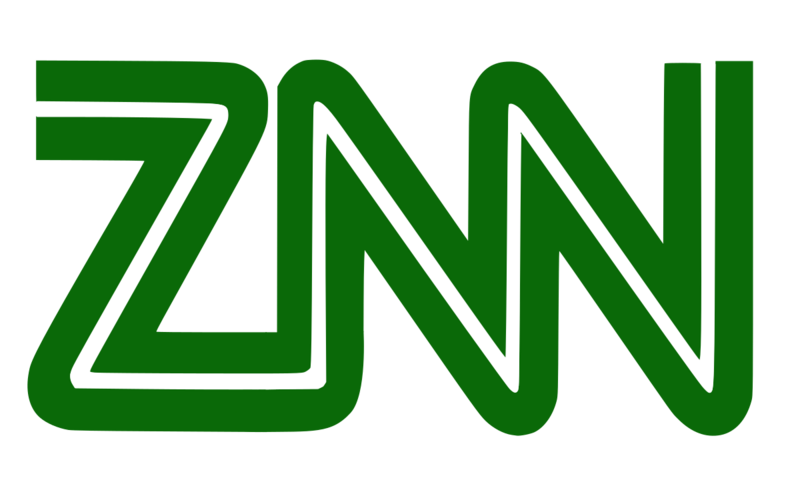 File:ZokesianNewsNetwork.png