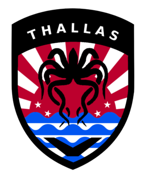 Thallas patch red.png