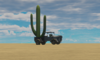 cactus theft.