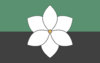 Rinn flag.png