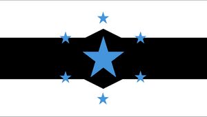 Fidelis Flag.jpg