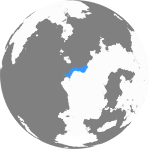 Cenova Globe.png