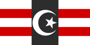 Cotmark Surn Flag.png