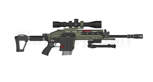 PMG - R209 DMR.png